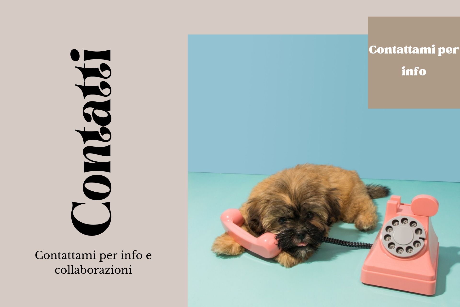 Contatti homepage